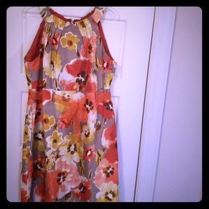 Plus size ladies dress